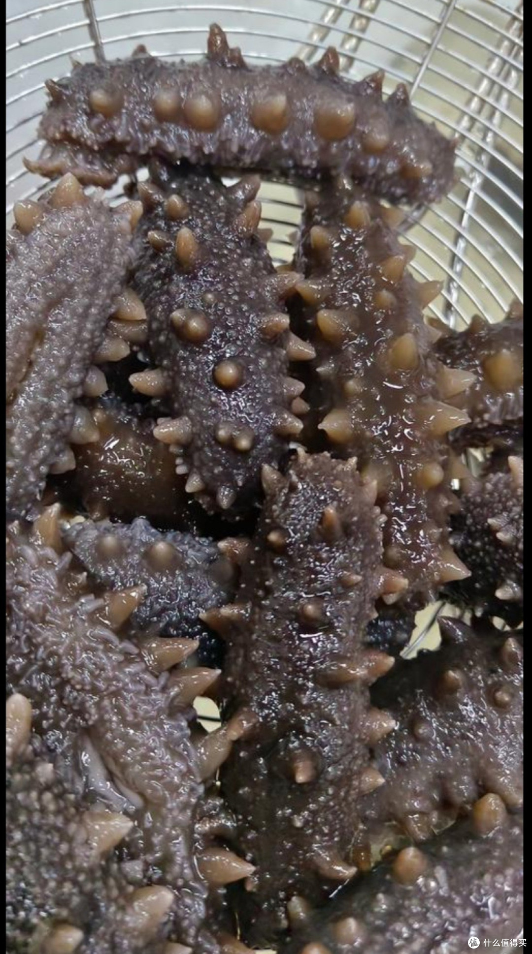 春节年味:传统与新潮的交融