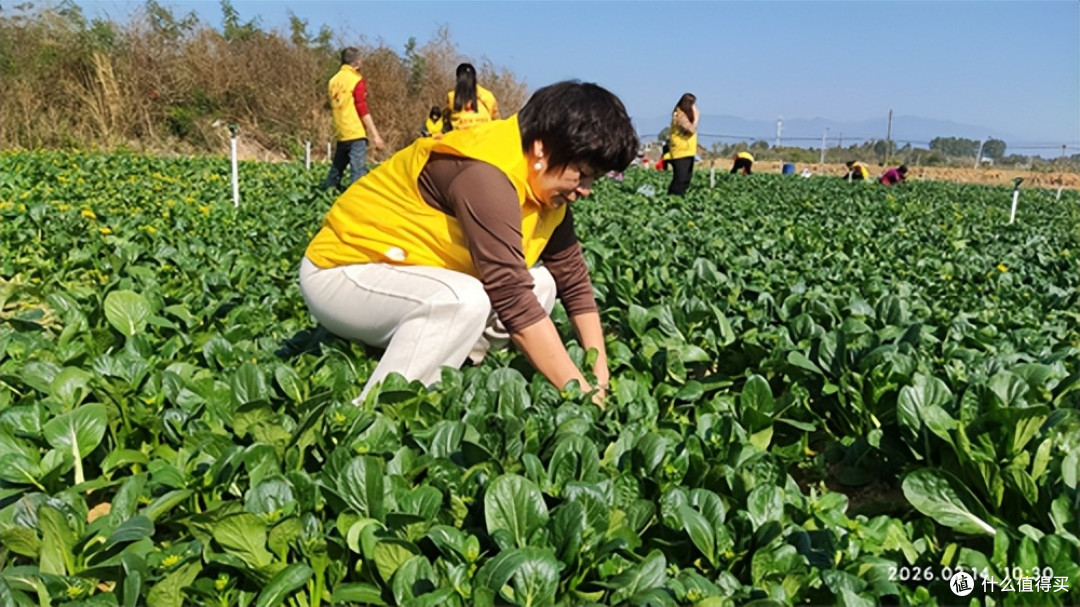 广东惠州：红棉志愿者走进南湾农场 爱心回馈温暖公益路