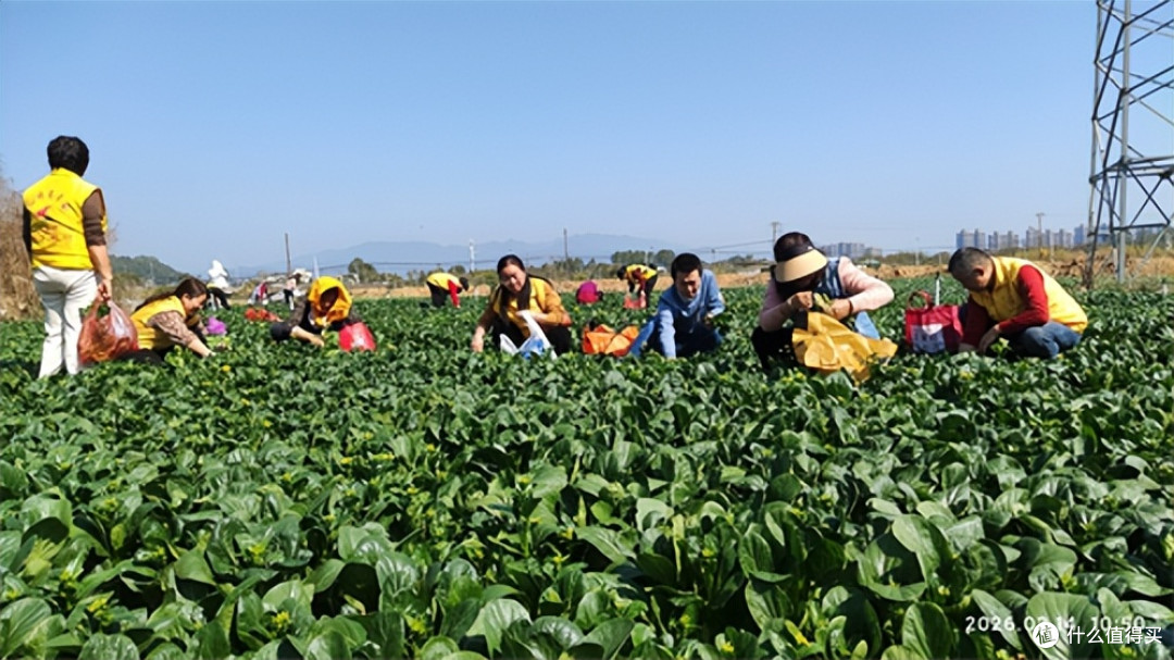 广东惠州：红棉志愿者走进南湾农场 爱心回馈温暖公益路