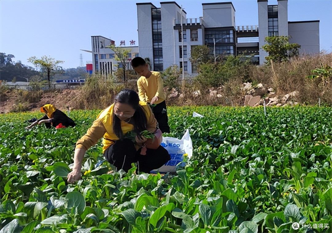 广东惠州：红棉志愿者走进南湾农场 爱心回馈温暖公益路