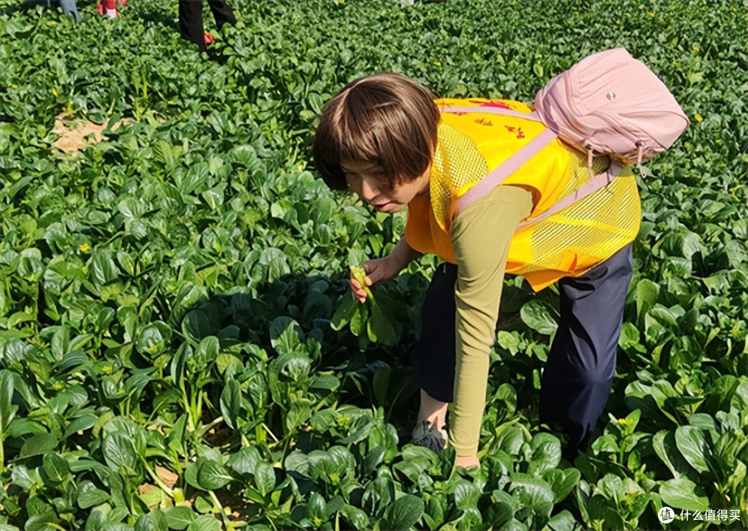 广东惠州：红棉志愿者走进南湾农场 爱心回馈温暖公益路