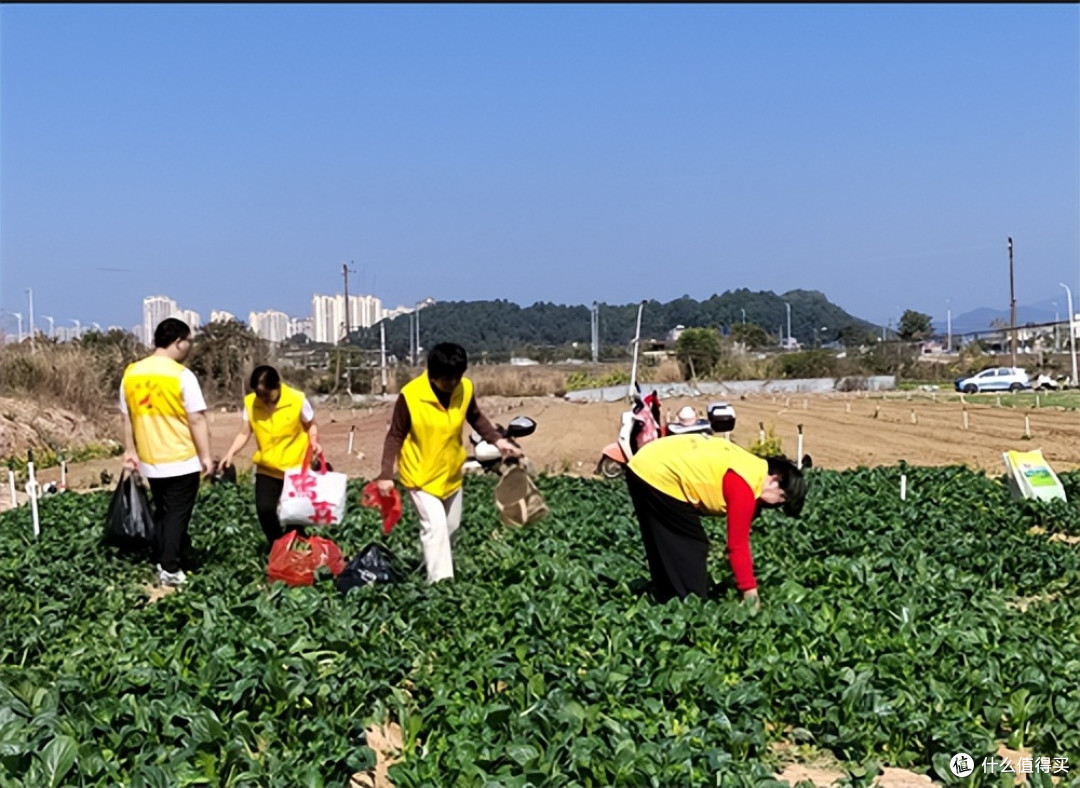 广东惠州：红棉志愿者走进南湾农场 爱心回馈温暖公益路