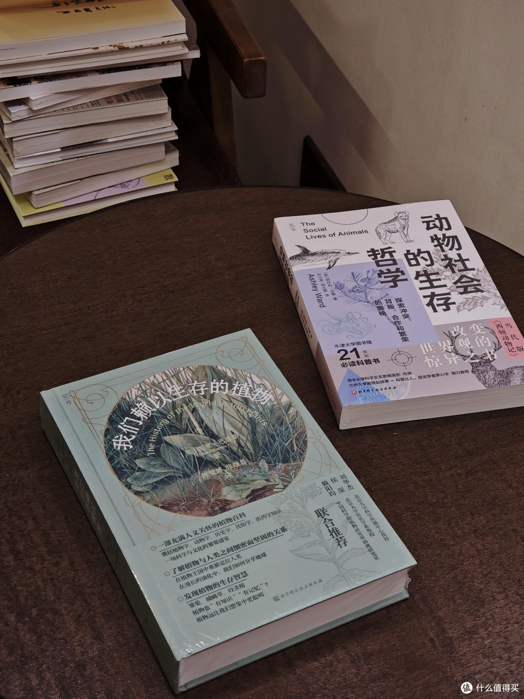 新书开箱:开启一年的阅读之旅