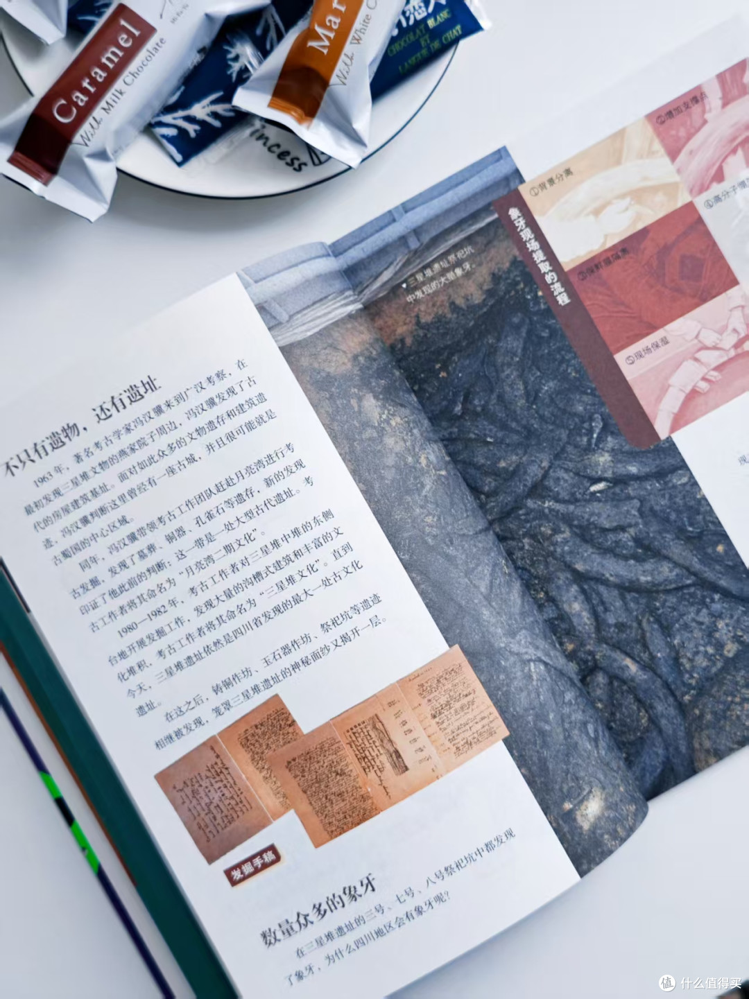 心有山海，目有星光：《少年游学》系列图书推荐（6-14岁适读）