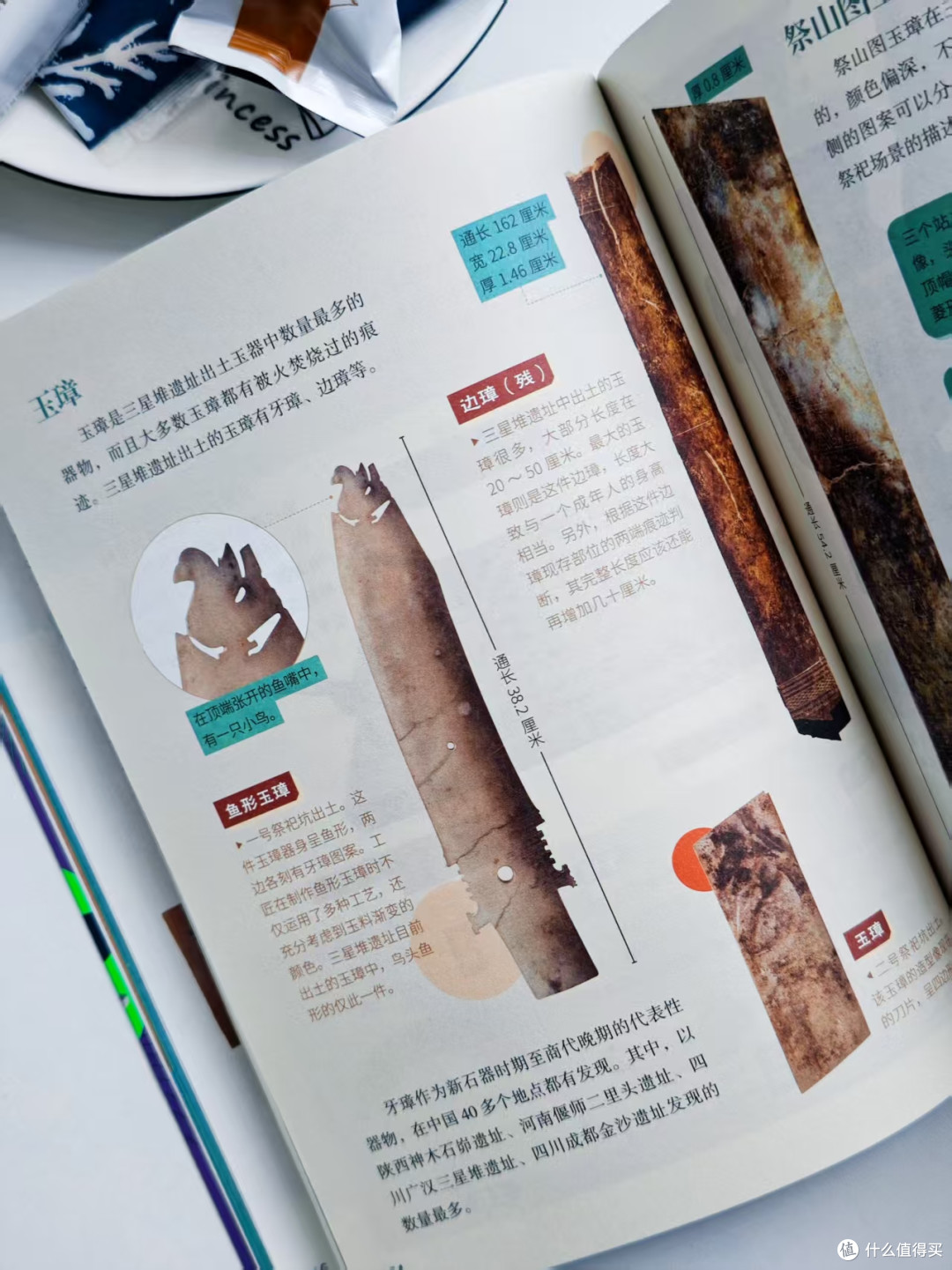 心有山海，目有星光：《少年游学》系列图书推荐（6-14岁适读）