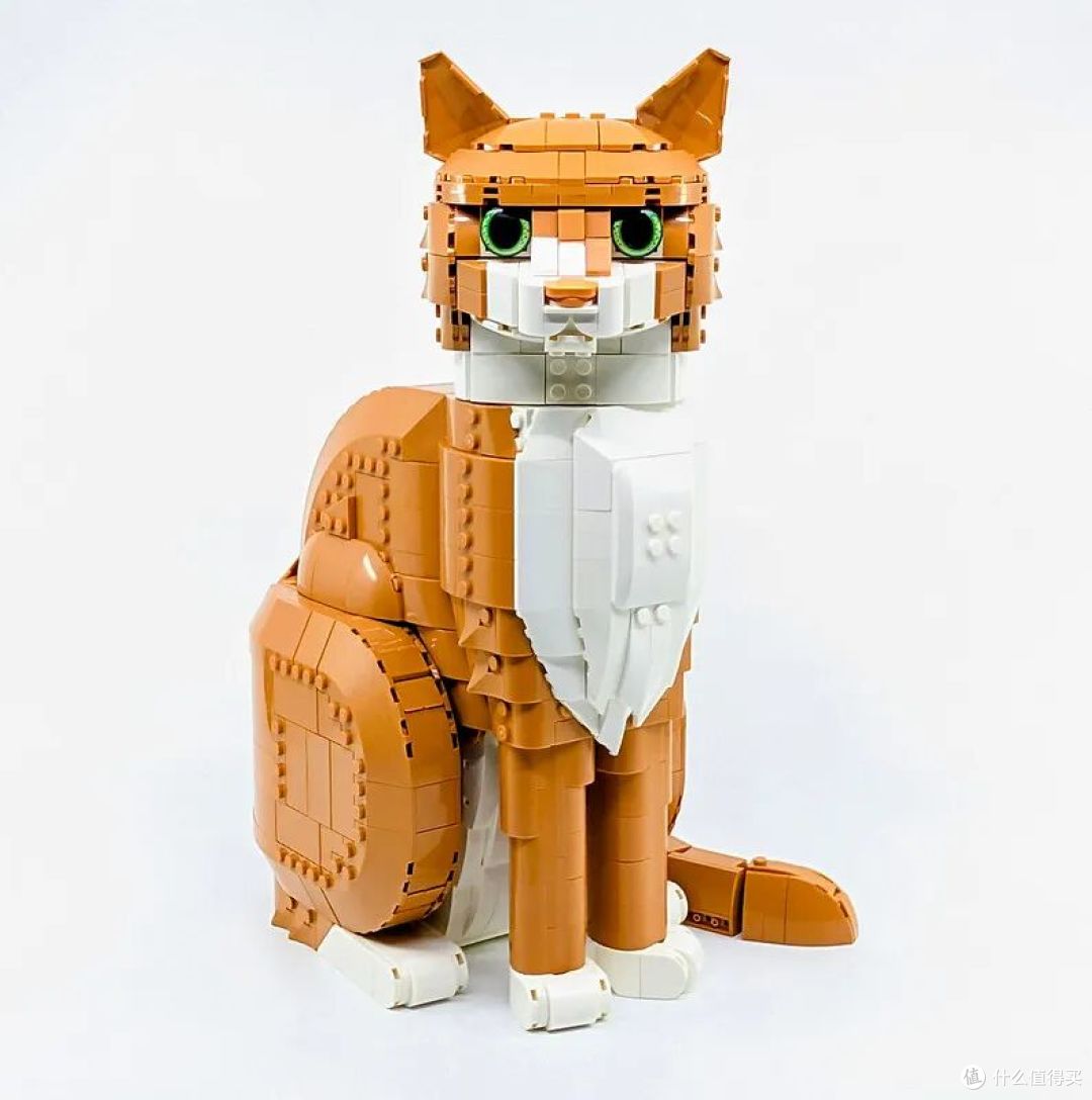 这款套装对于家中有橘猫的玩家来说吸引力会很大