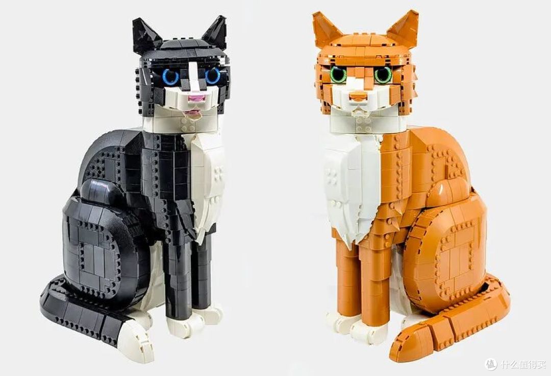 两只“猫”的对比
