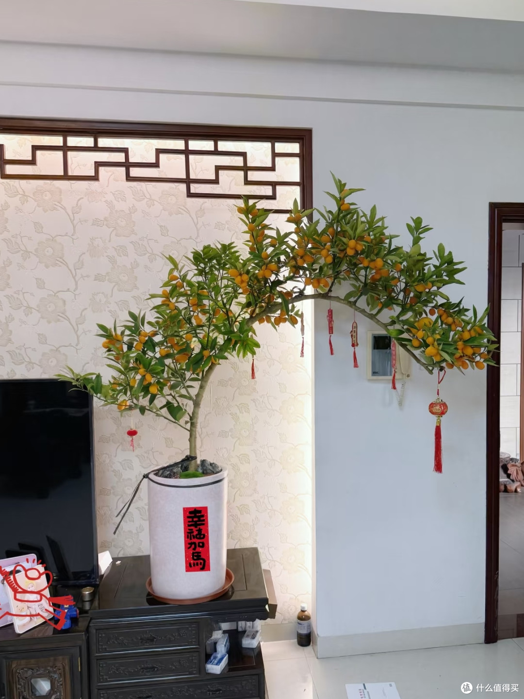 广东太太晒亲戚送的“最美年桔”,型美桔多,网友:真有个性!