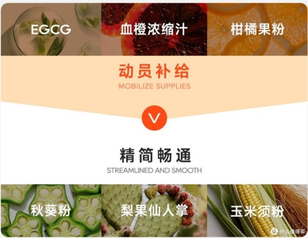 守护春节轻盈体态 多燕瘦成家庭聚餐“健康搭档”
