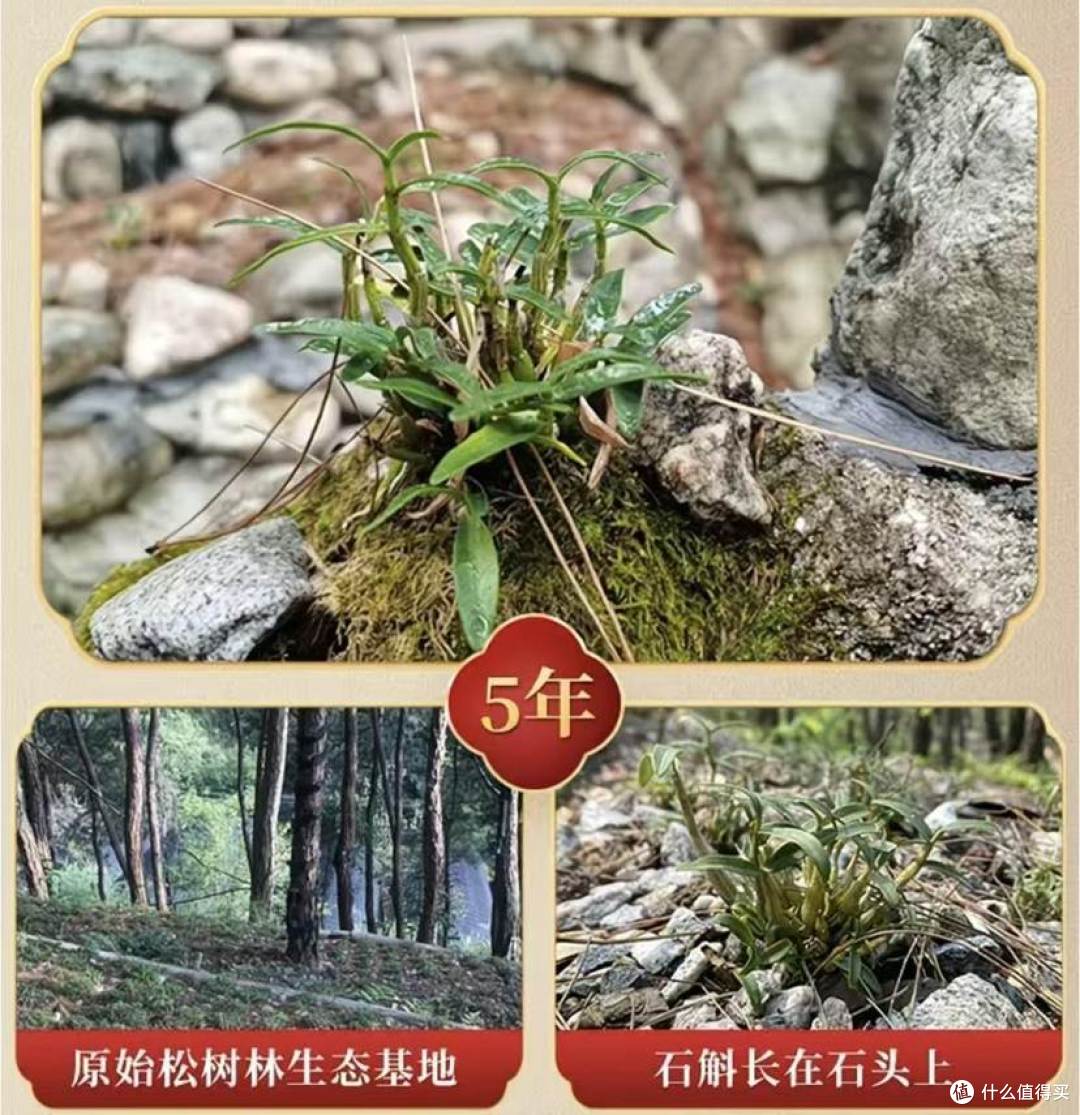 00 生长地区环境4