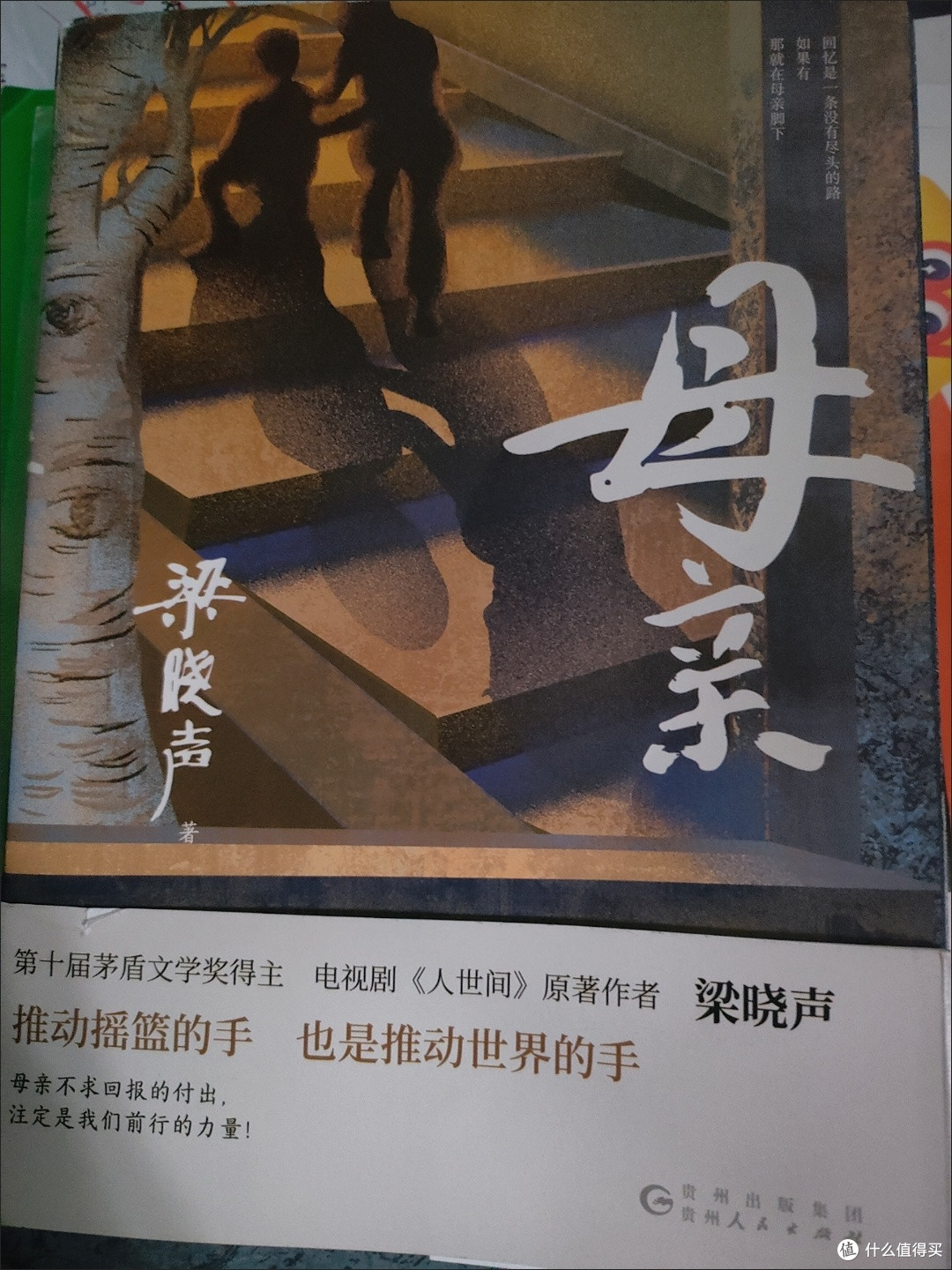 平凡里的光——读梁晓声《母亲》有感