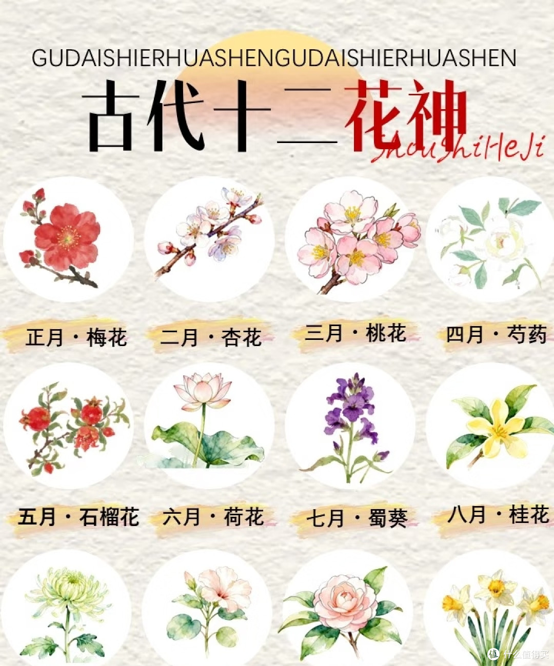 女子因“春晚12花神”直接火翻,网友:红眼病犯了,全都想养之一