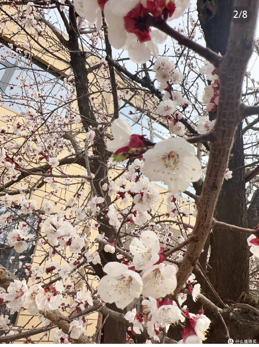 女子因“春晚12花神”直接火翻,网友:红眼病犯了,全都想养之一