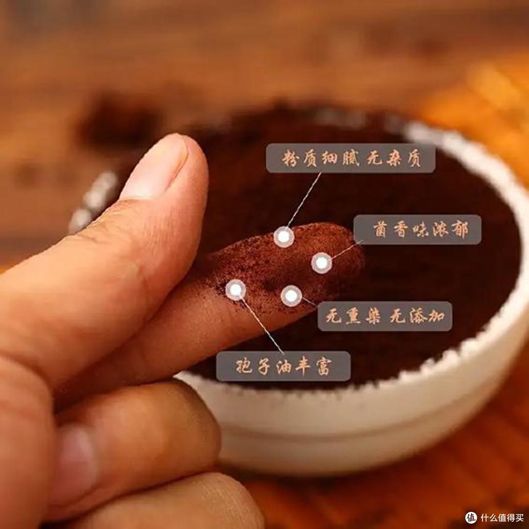 哪款破壁灵芝孢子粉更受欢迎？十大推荐品牌大揭秘！