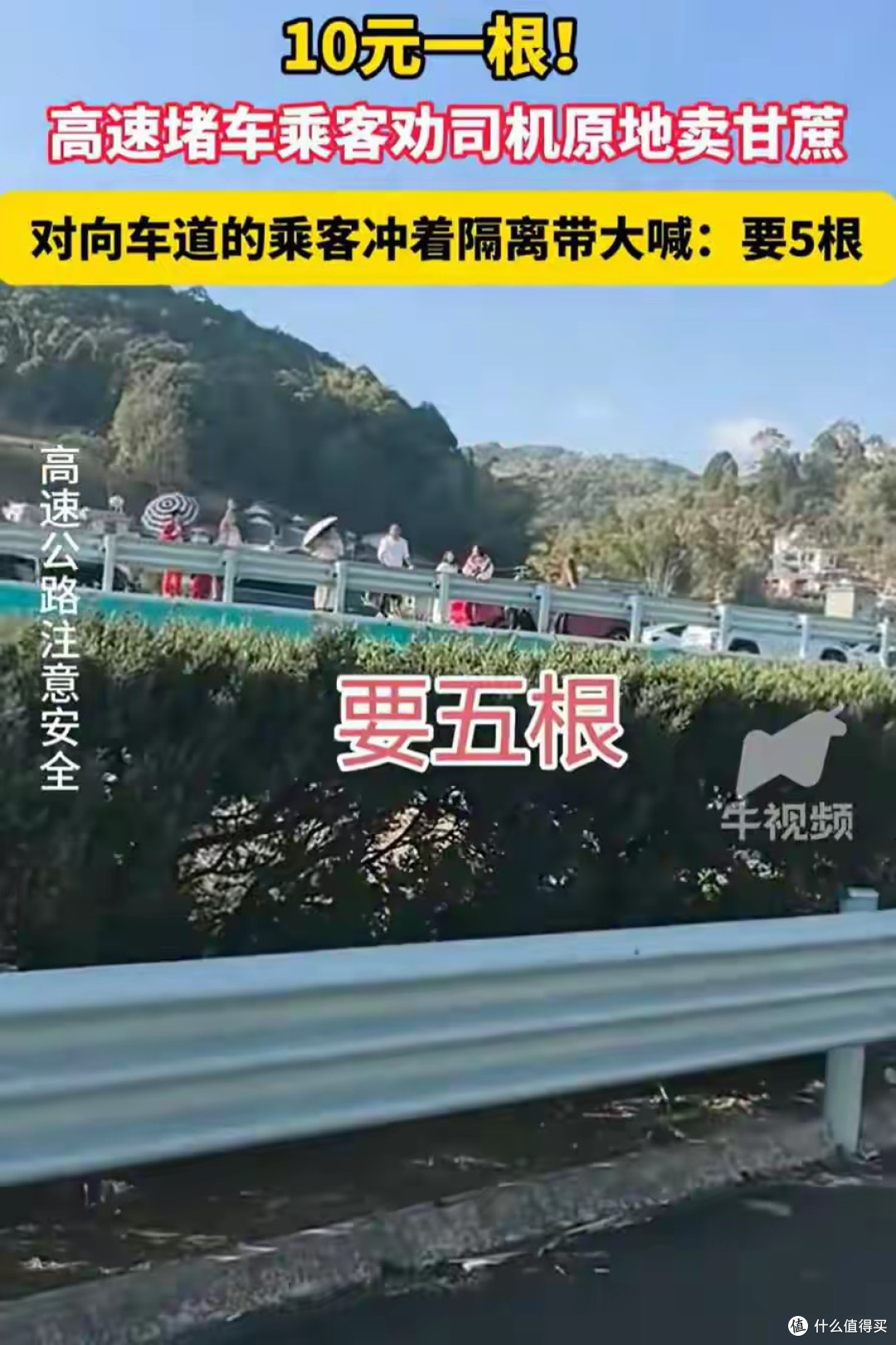 高速堵成停车场,货车司机卖甘蔗火了,一根十块没人讲价
