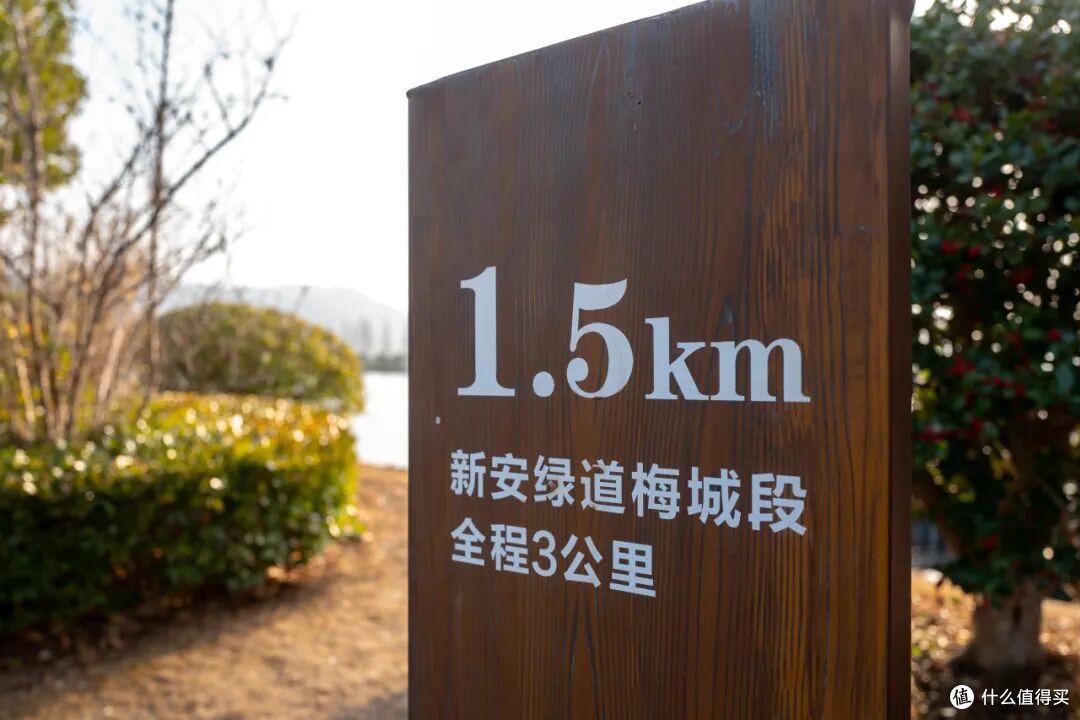 高铁33分钟!现在买票去这个年味爆表的“草莓王国”还来得及!