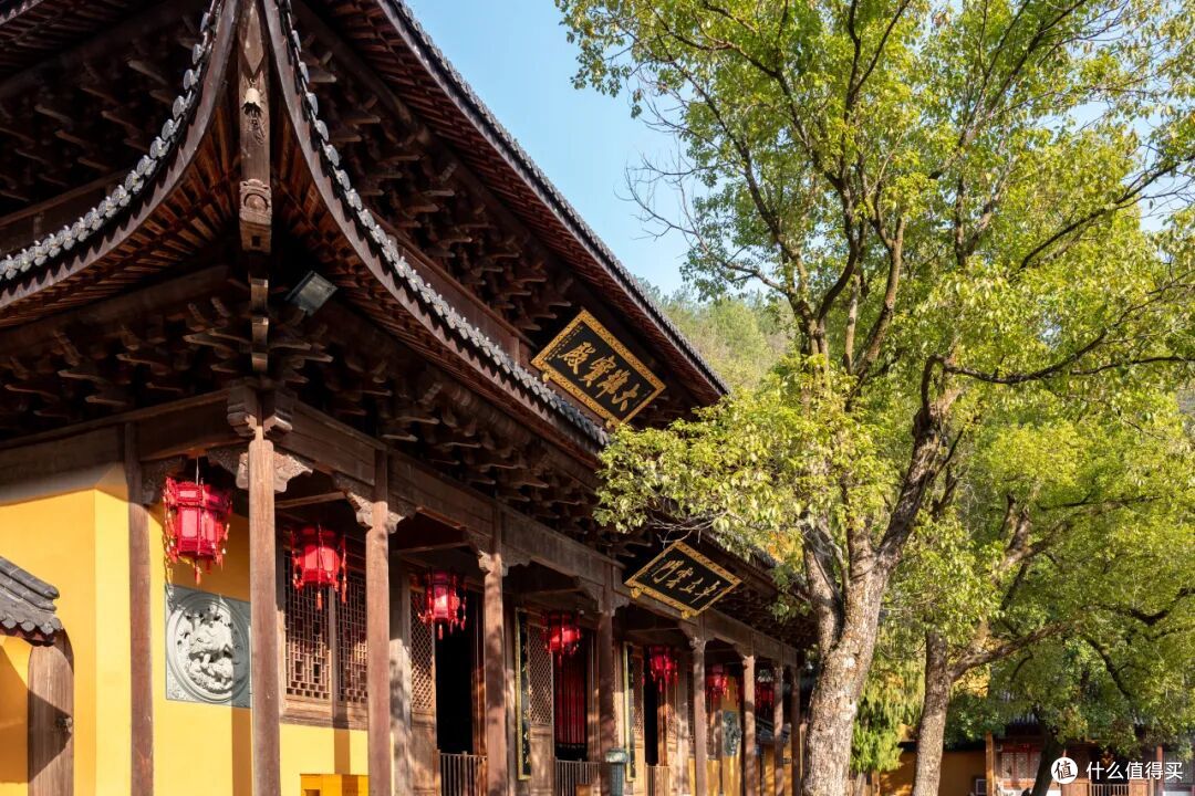 高铁33分钟!现在买票去这个年味爆表的“草莓王国”还来得及!