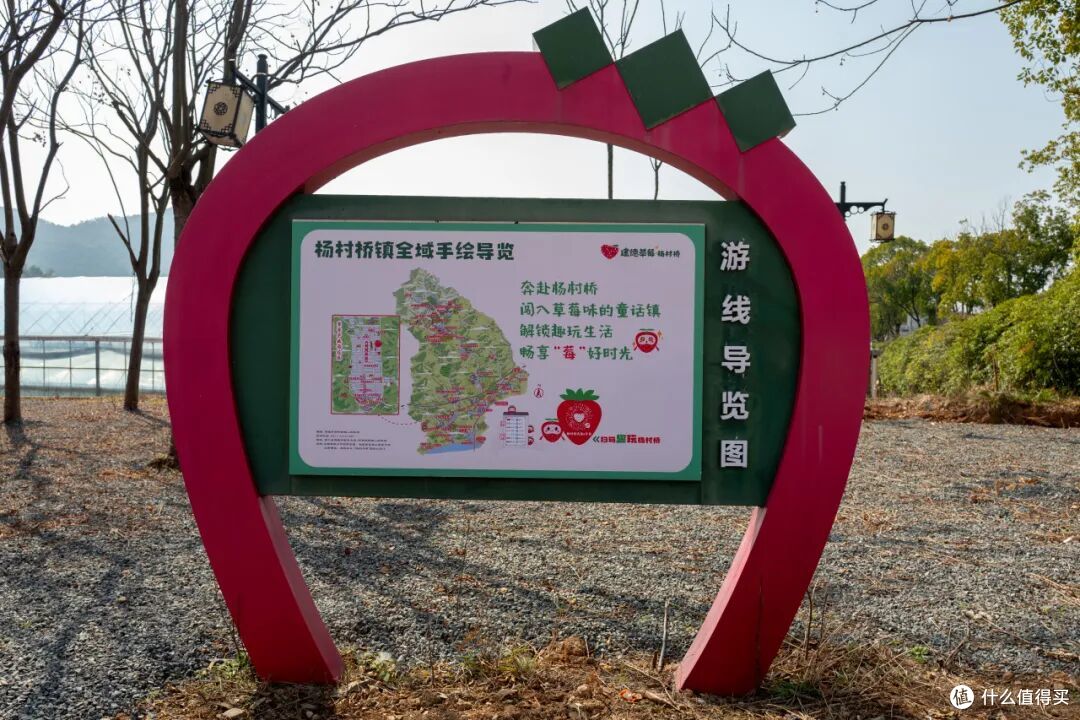 高铁33分钟!现在买票去这个年味爆表的“草莓王国”还来得及!