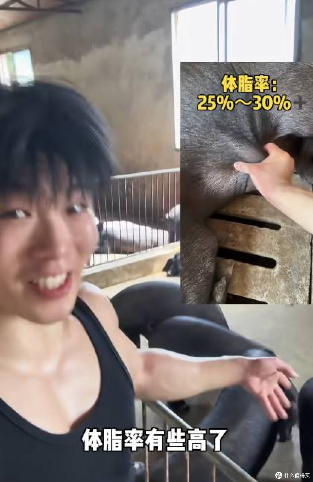 全网最自律猪半年狂瘦13.8斤,是人不如猪还是变相虐待?