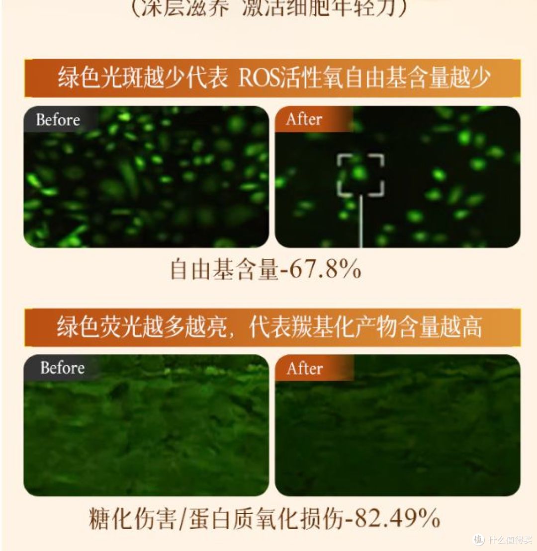 人参黄芪面部精华液，助力肌肤抗皱提亮，受欢迎！