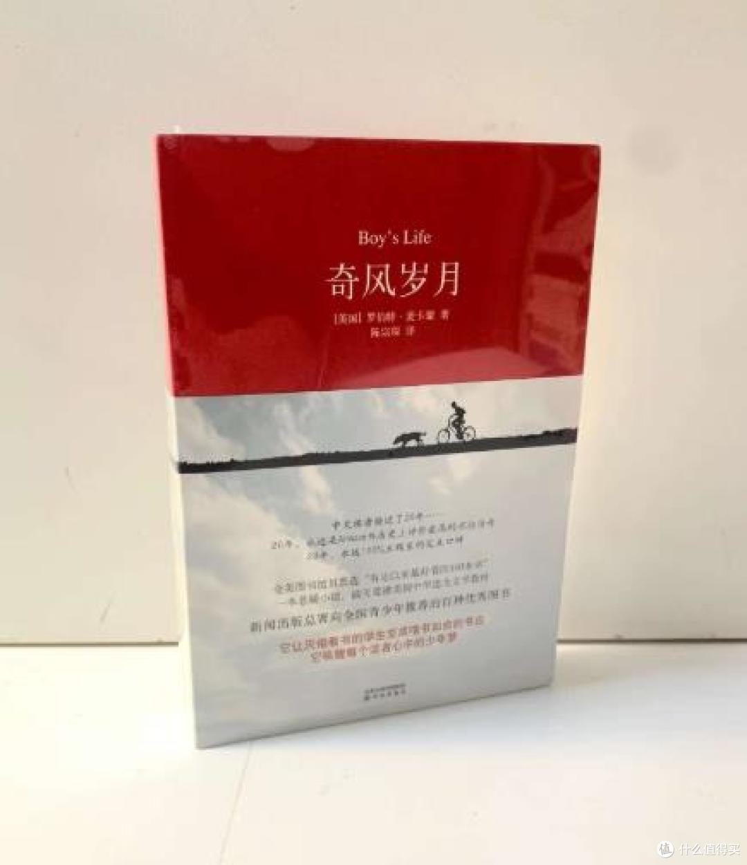每个大人心里,都住着一个奇风少年