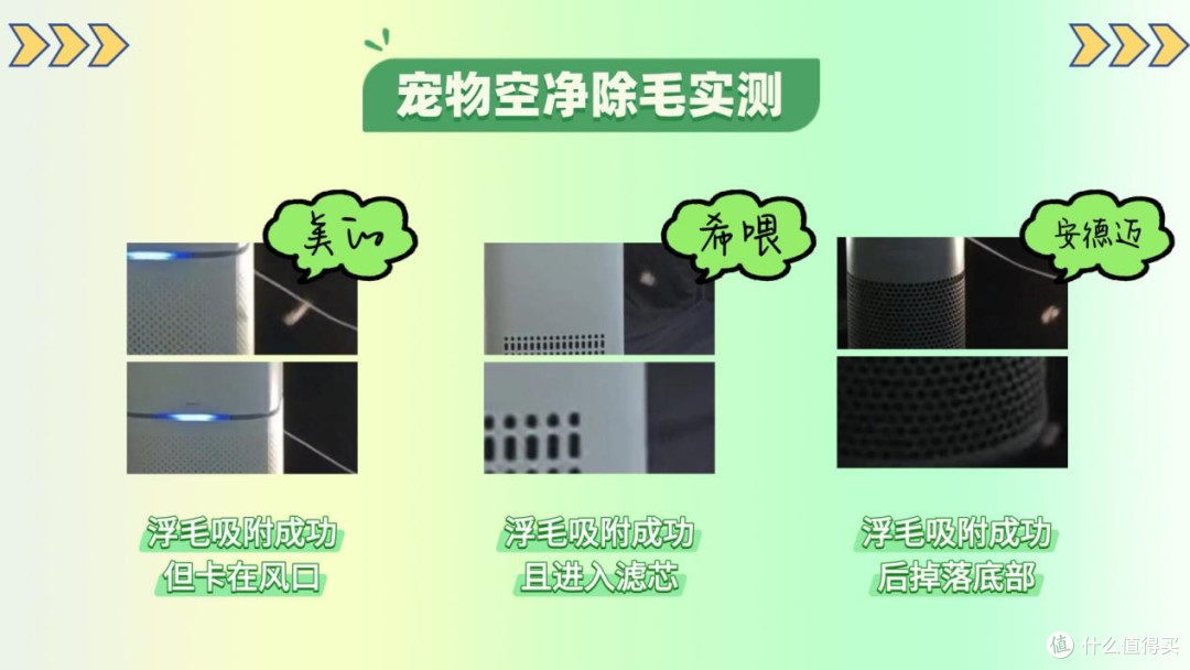 宠物空气净化器哪个牌子好?十大品牌测评优选推荐,闭眼入!