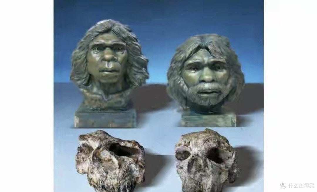 177万年!中国考古再破世界纪录:湖北郧县发现东亚最早直立人