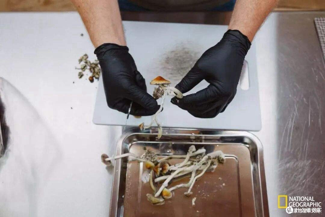 让死亡不再痛苦,一种从致幻蘑菇中提取的药物正改变晚期癌痛