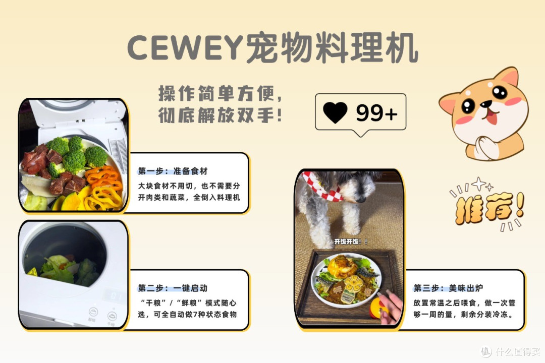 宠物料理机到底多省事?用对方法照着自制猫饭食谱大全只需5分钟