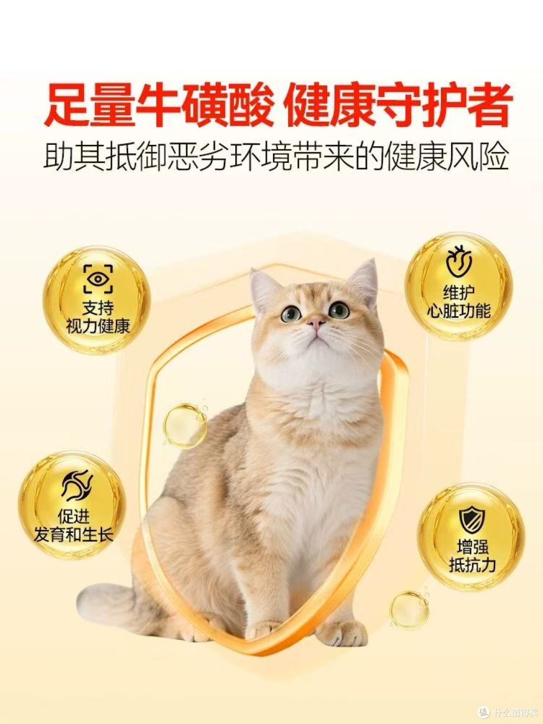 科膳救助专用烘焙猫粮|以好粮为暖,护流浪毛孩安稳渡日