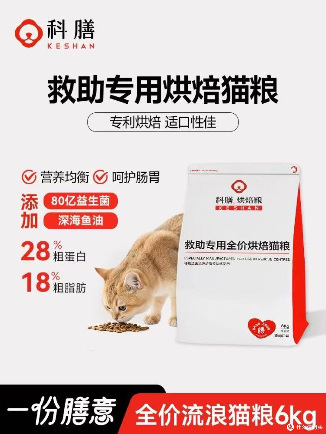 科膳救助专用烘焙猫粮|以好粮为暖,护流浪毛孩安稳渡日