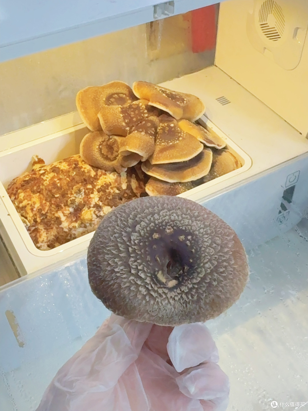 在家种菌菇也太治愈了,都是超级菇菇智能生态箱的功劳