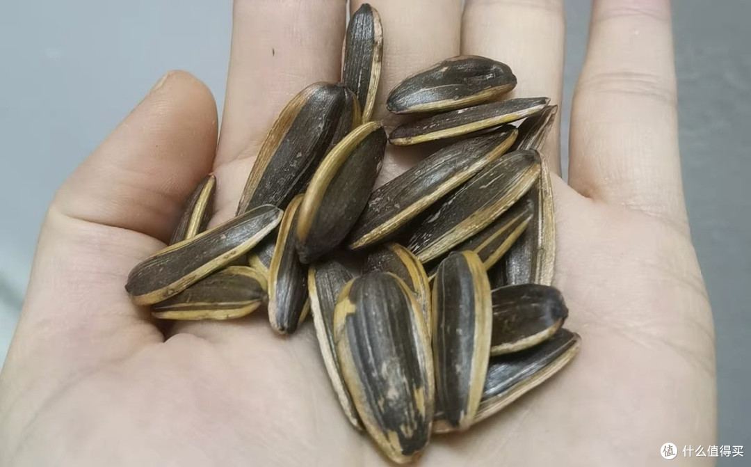 老街口山核桃味瓜子：过年磕出来的香