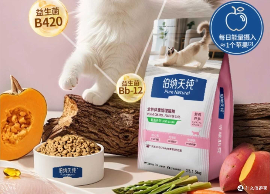 养猫别再瞎喂!这5点99%的人喂错,内附2026比较好的猫粮