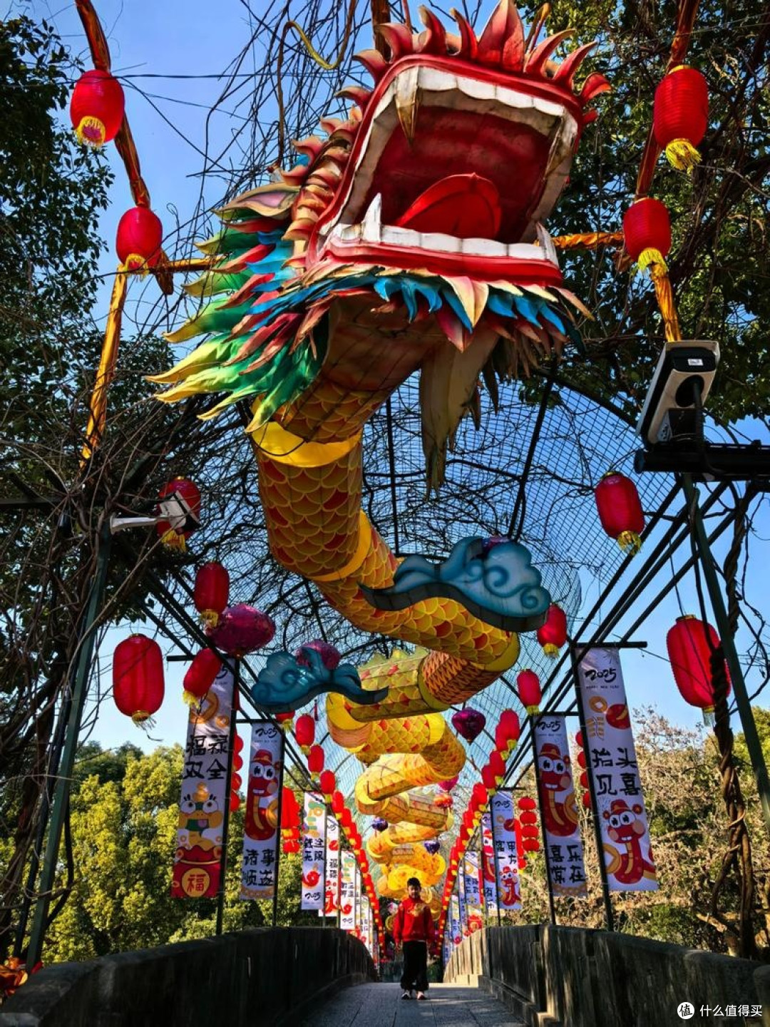 年味大赏：灯火璀璨闹新春