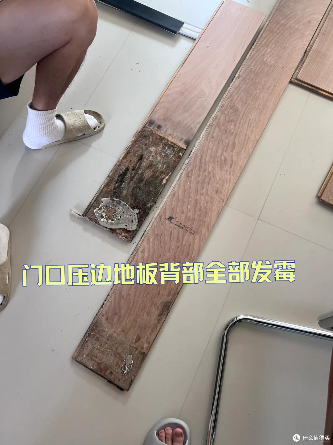 越来越多人客厅不铺实木地板,学学广东人的做法,便宜耐用还防潮