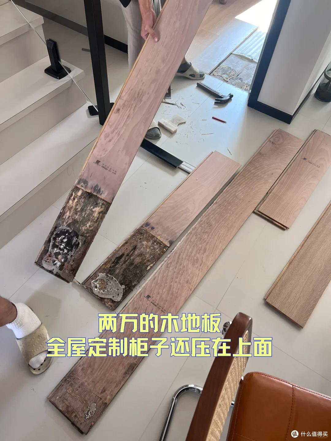 越来越多人客厅不铺实木地板,学学广东人的做法,便宜耐用还防潮