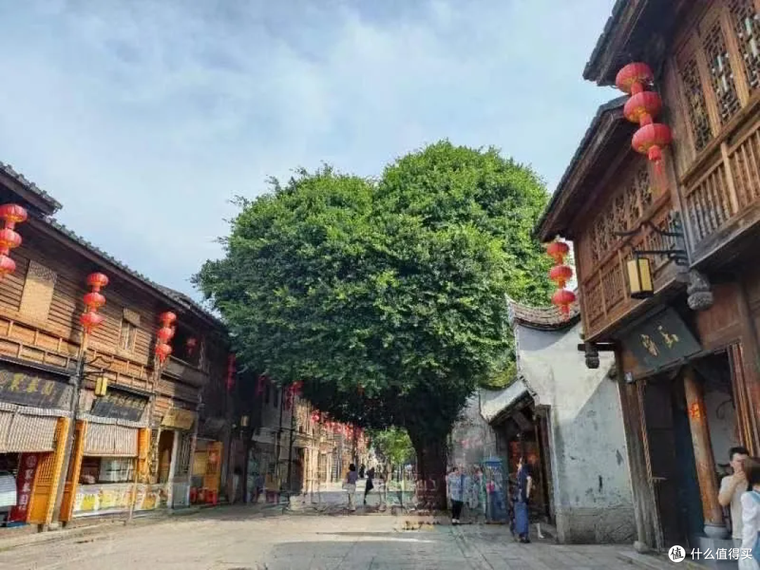 来福州先看这篇!三坊七巷不踩雷完整版懒人攻略