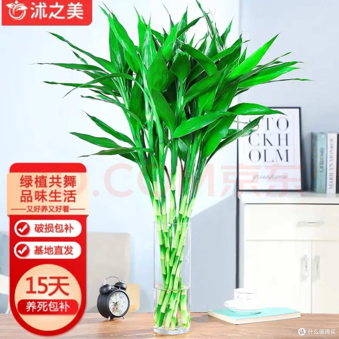 打工人复工回血指南！这4件工位好物，早买早享受
