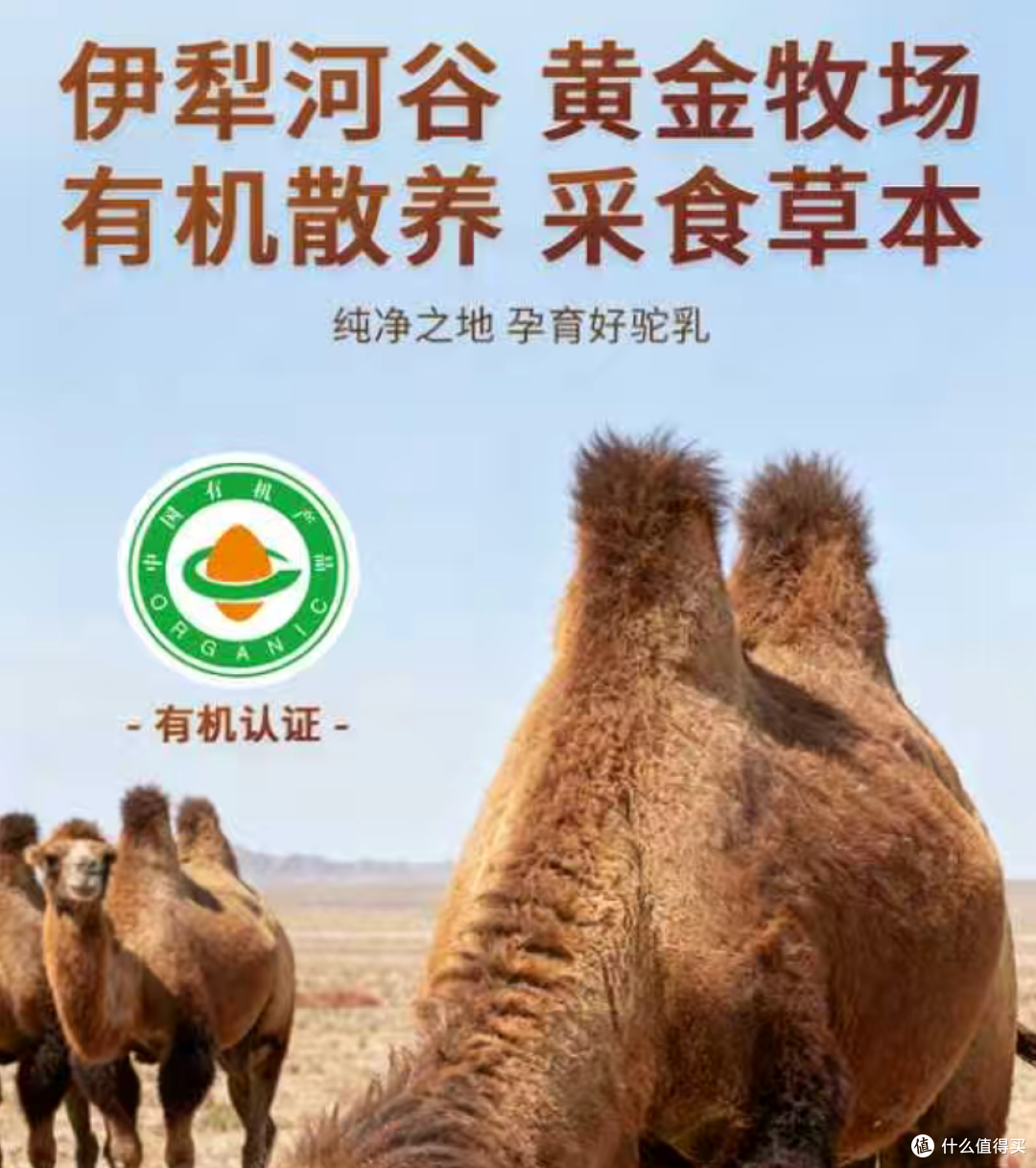 新疆驼奶粉哪个品牌好?伊犁河谷牧场直出:三款不做广告回购惊人