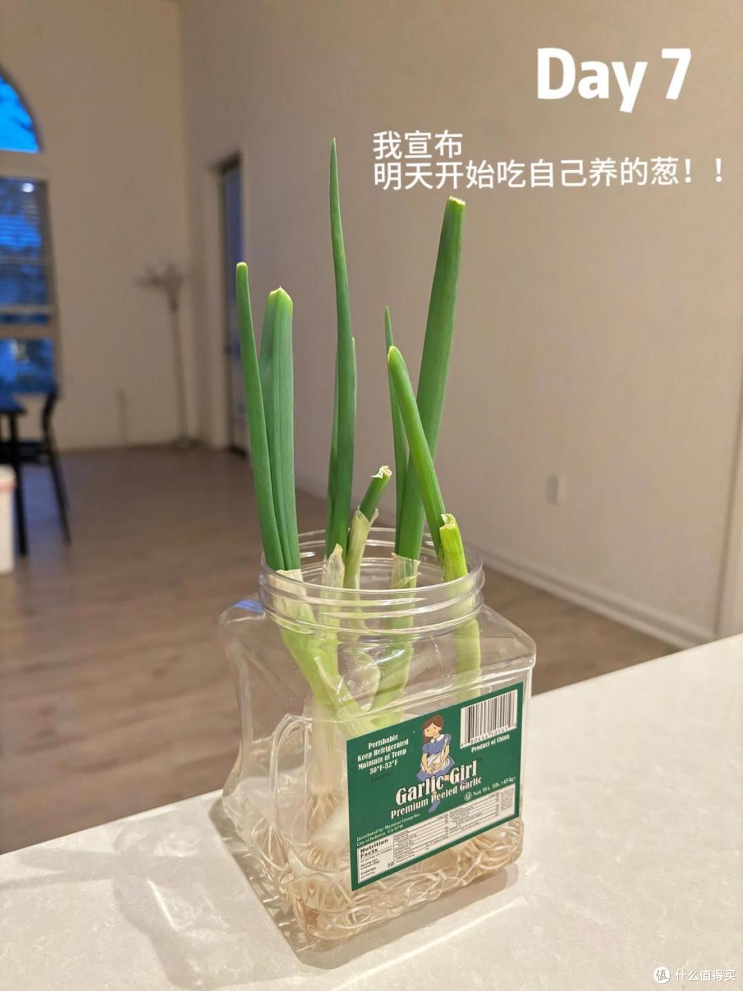 过年去亲戚家拜年，看到这11个小妙招，当场傻眼：还有这种操作？
