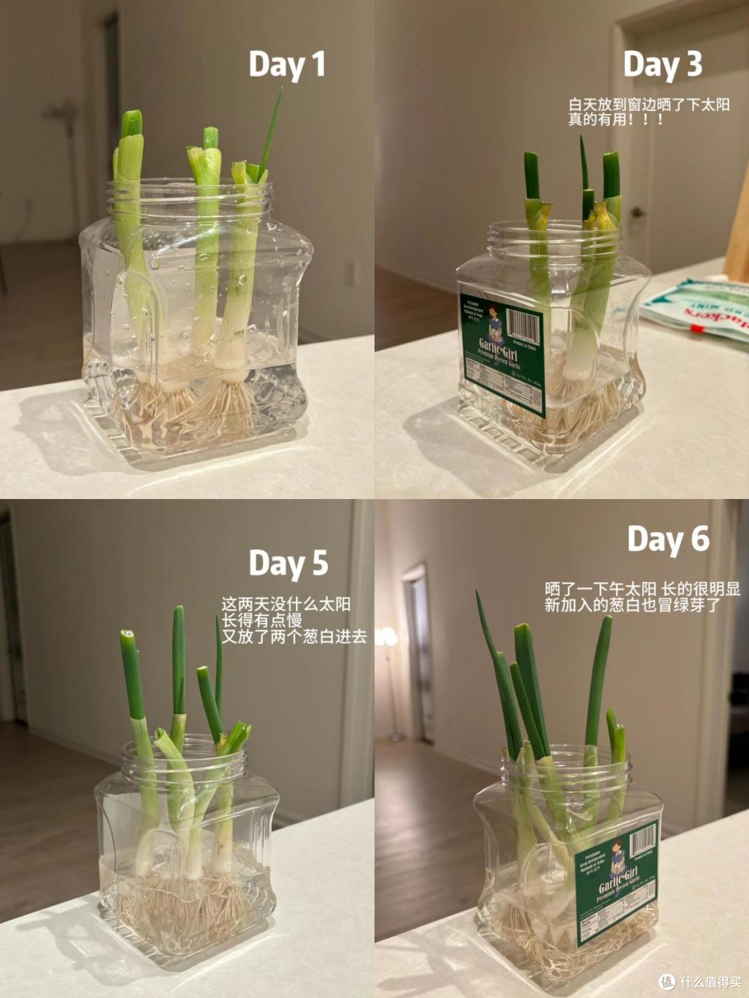 过年去亲戚家拜年，看到这11个小妙招，当场傻眼：还有这种操作？