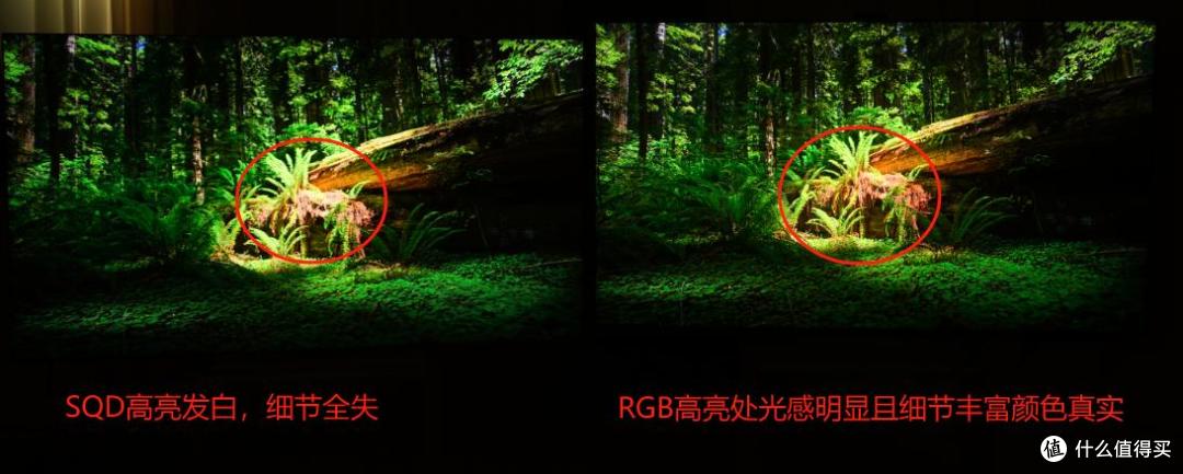液晶电视技术路线之争RGB对比SQD谁能笑到最后?