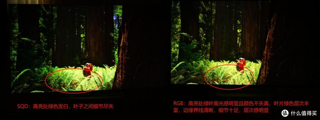 液晶电视技术路线之争RGB对比SQD谁能笑到最后?