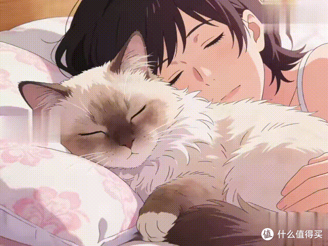 猫咪没有“安全感”，都会这样睡觉，别不信！