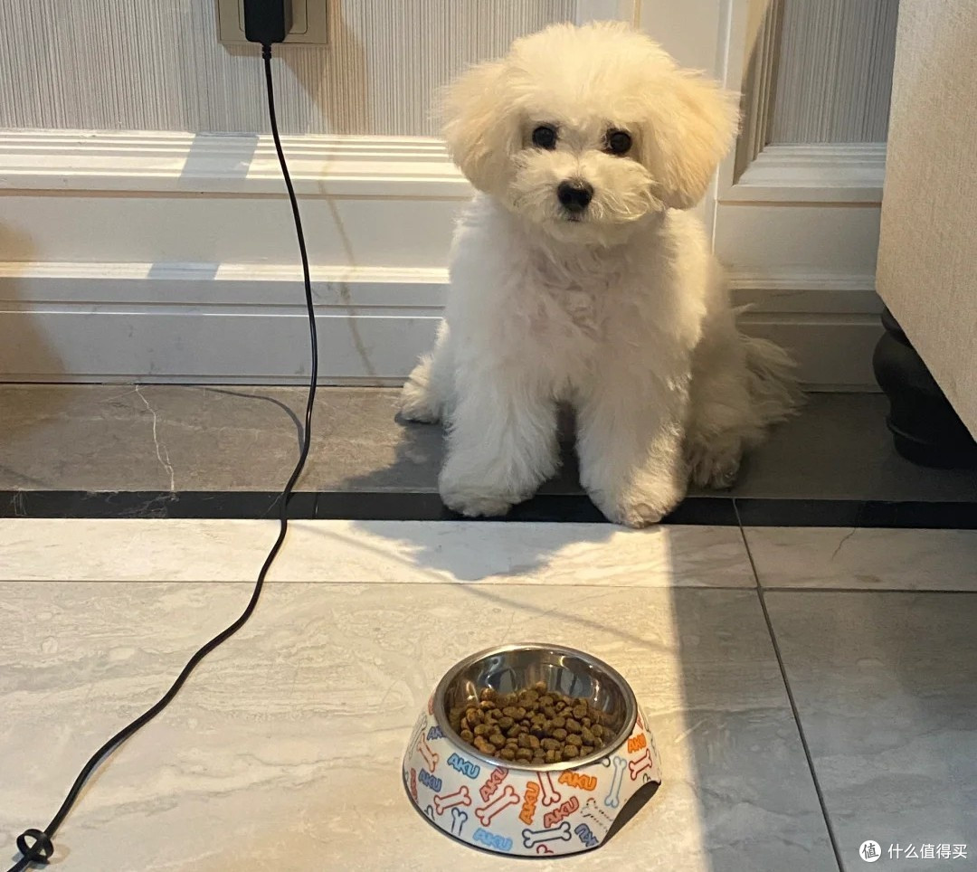 烘焙狗粮买什么牌子好？38节最推荐这几款，品质可靠有保障！