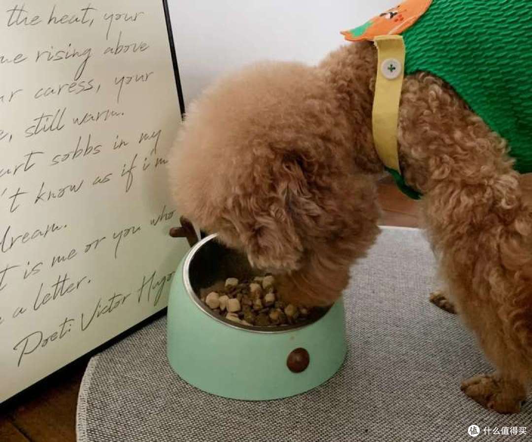 烘焙狗粮哪种好推荐?38节低盐的狗粮牌子排名前十