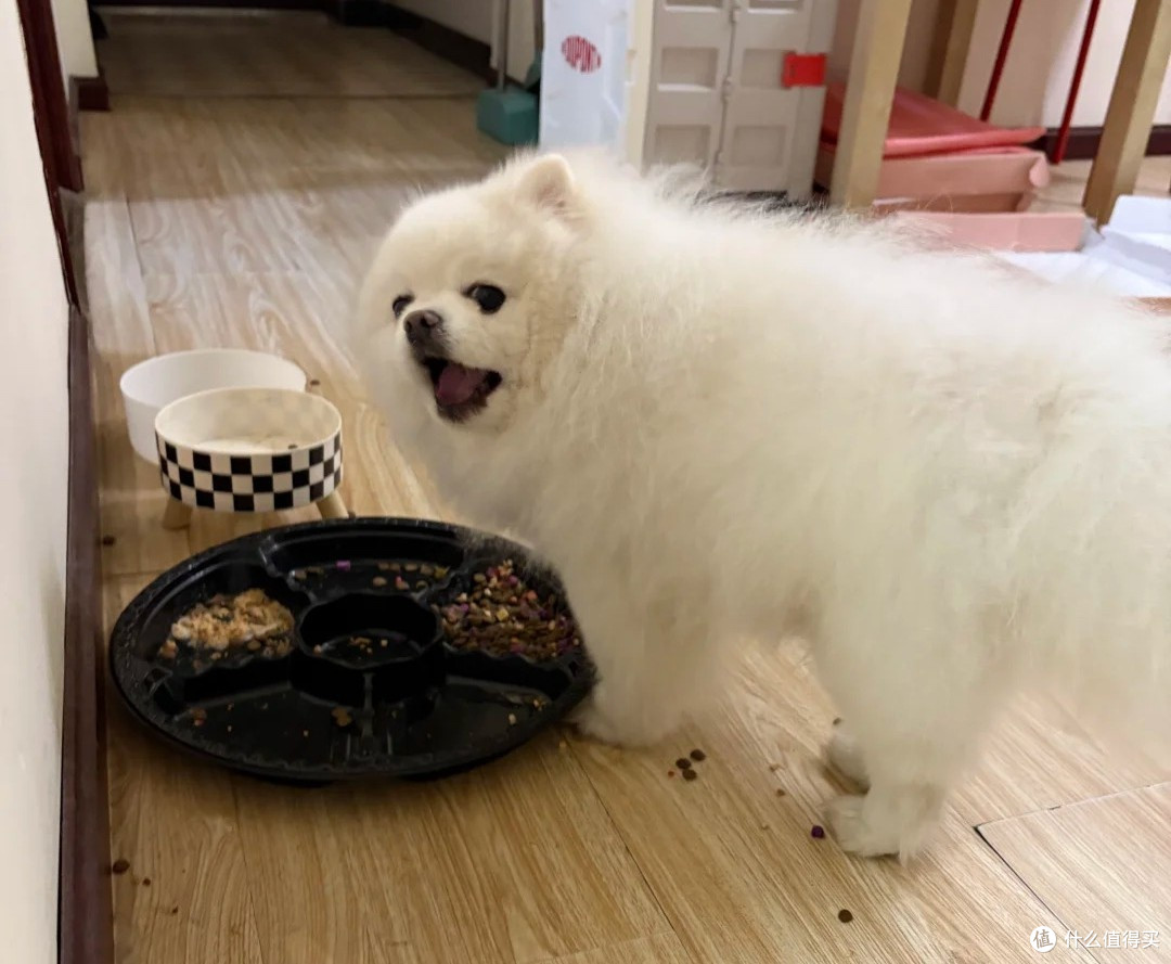 狗狗肠胃差吃什么烘焙狗粮?护肠狗粮测评,肠胃弱狗狗放心选