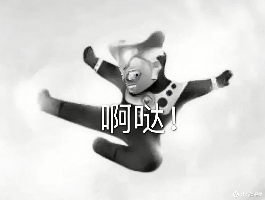 宠物小小值