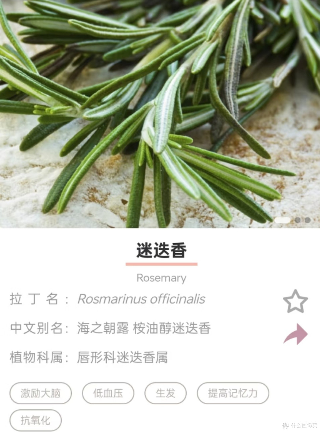打工人办公室续命精油,下午三点不再困成狗